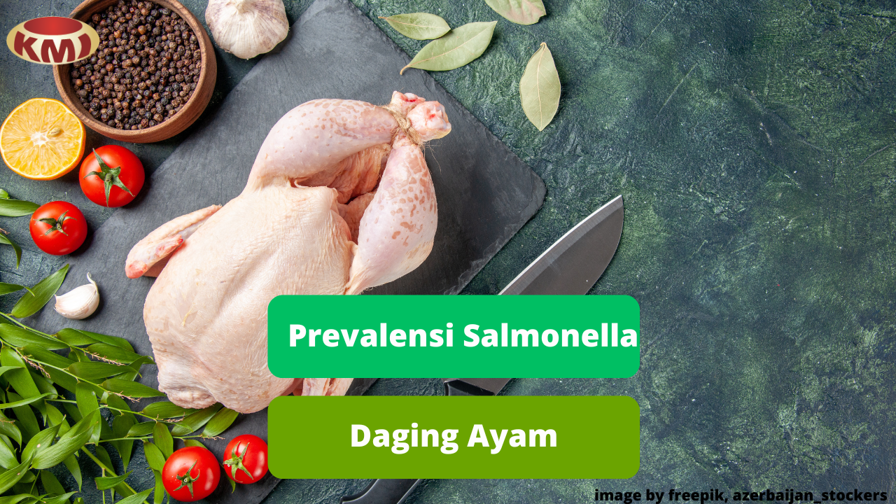 Inilah Ulasan Prevalensi Salmonella Daging Ayam Di Indonesia